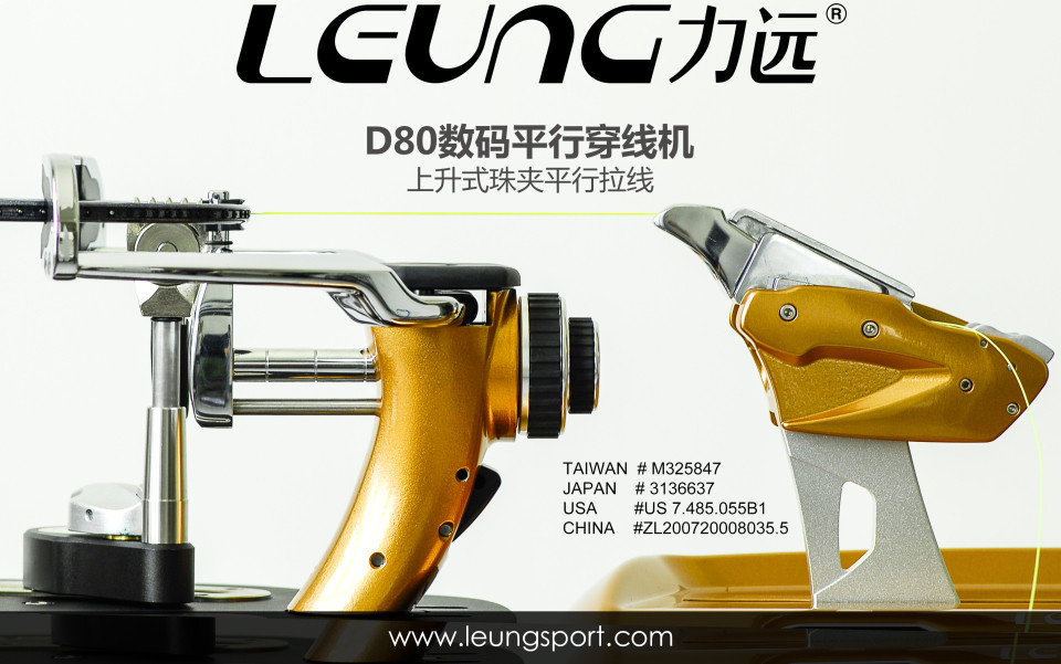 LEUNG D80